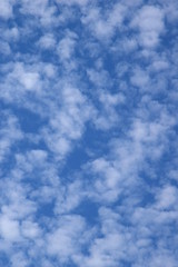 Weiße Schäfchenwolken - Wolkenbild - blauer Himmel