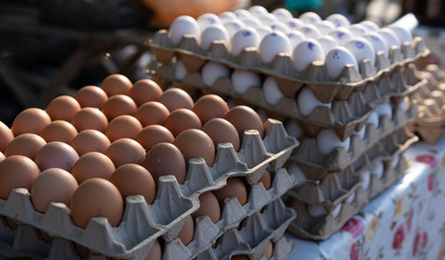 Obraz premium Eggs in packaging for sale