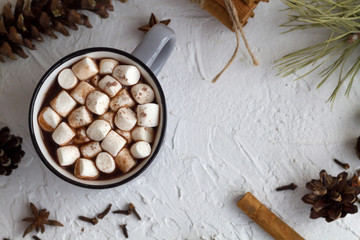 winter and autumn hot drinks. cup of hot cocoa or chocolate with marshmallow and  cinnamon, anise star on white background. winter decoration. top view. copy space