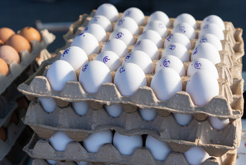 Eggs in packaging for sale