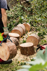 Transport von Holz