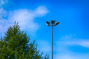Street lamps and fir tree against blue sky.