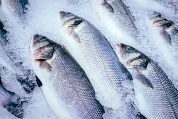 fresh sea bass fish on the counter of the market shop on the background of ice.