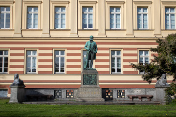 Fototapeta na wymiar Monument to August Kekule and Institute of Microbiology and Biotechnology building, Rheinische Friedrich-Wilhelms-University in Bonn, in Germany
