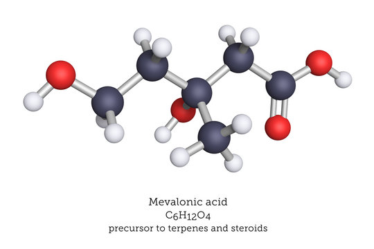 Mevalonic acid molecular model. Mevalonic acid Mevalonic acid is a precursor in the biosynthetic pathway that produces terpenes and steroids.