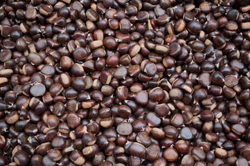 Top view fresh brown fruit of the chestnut.