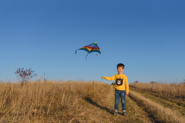 Little boy with kite flying over his head