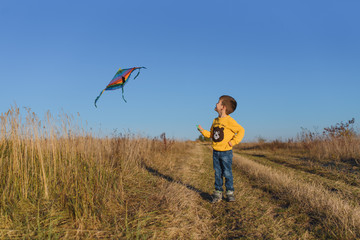 Little boy playing with kite on meadow. Childhood concept