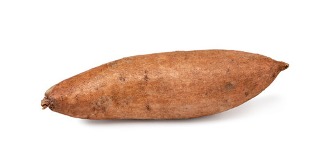 Sweet Potato