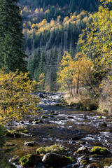 River1