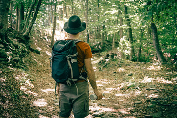 Naklejka premium Hiker with black hat walking through a mediterranean forest