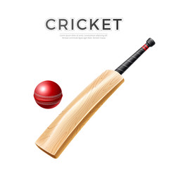 Vector realistic cricket bat stick betting promo