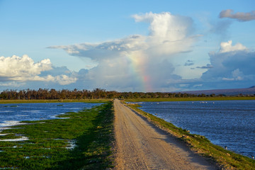 Fototapeta na wymiar View of sandy safari road running through lake with rainbow in the distance. Bright day, blue sky with soft white clouds. Amboseli National Park -Kenya