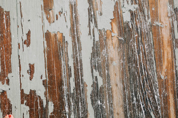 Paint peeling from wood background texture