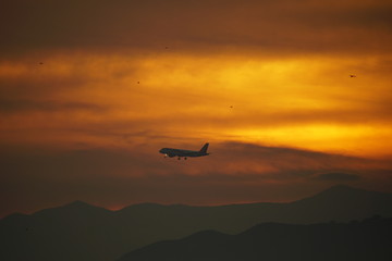 plane cloud sunset avion reactor sobre cielo amarillento al atardecer malaga andalucia