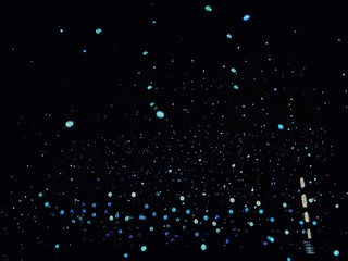 White light