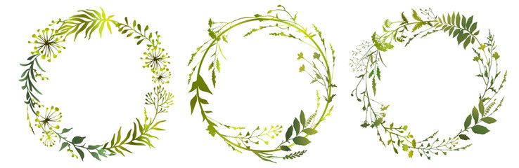 Set of circle floral frame meadow herbs. Floral green wreaths. Element design. Vector illustration. - obrazy, fototapety, plakaty