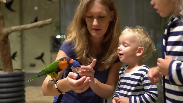 Excited children with mother feeding parrot bird sitting on hand. Gimbal motion