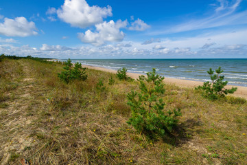 Fototapeta na wymiar Baltic sea. Beautiful landscape. View of coastline.
