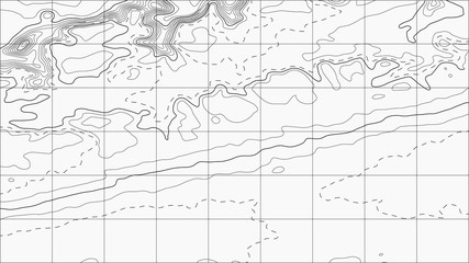 Topographic map background. Grid map. Abstract vector illustration.