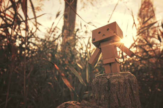 Petite figurine Danbo en carton se ballade en forêt pendant l'automne