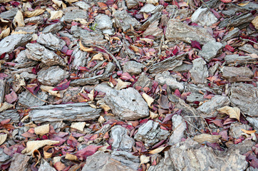 Wood Sawdust For The Garden. Texture of a tree bark lying on the ground. Background from a tree bark. Decorative bark, mulch, mulching. Decorative wood chips. Natural pine mulch brown