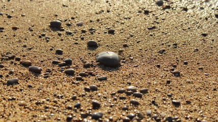 Fototapeta na wymiar wet sand stone on the beach close-up texture background