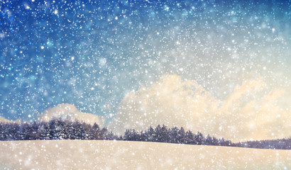 Winter landscape with trees and snowfall. Winter background.
