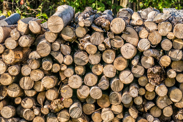 Brennholzlager © focus finder