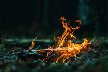 Closeup view of a camp fire - Dark forest background during a cold autumn evening