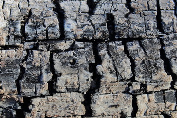 burnt log charcoal texture background close-up