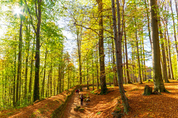 Ruins of Sarmizegetusa Regia Dacian capital, Romania