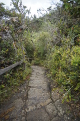 Laguna de Guatavita - Colombia