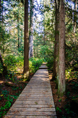 Follow the path