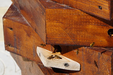 old tools on wooden background