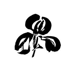 Vector flower logo. Floral background. Calligraphy ink. Stylized calligraphic ink iris.