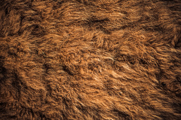 abstract, animal, backdrop, background, backgrounds, brown, closeup, coat, color, design, detail,...