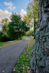 arnhem city the netherlands