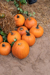 Halloween pumpkins scary creepy funny things for halloween theme 4