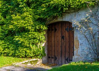 Rustic Old Wooden Door on an Ancient Abbey in Devon, Covered in Foliage