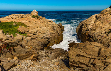 Monterey Peninsula #11