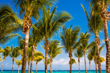 Tropical beach scene at all-inclusive resort in the Caribbean