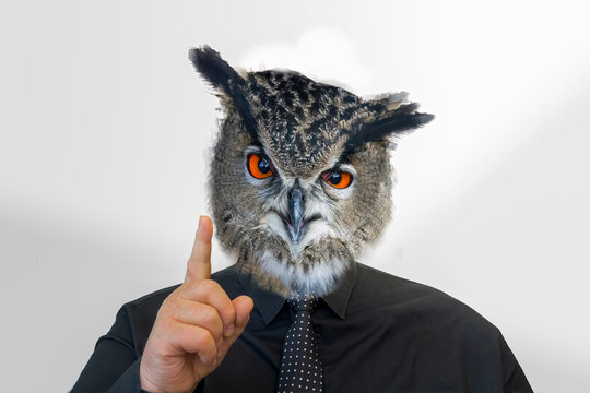 Man with owl head raises his finger