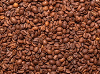 Black coffee beans closeup as a background.