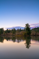 Fototapeta na wymiar Puget Sound Autumn Colors Still Water