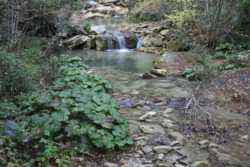 cascata nel bosco