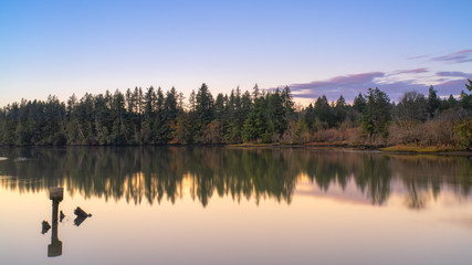 Puget Sound Autumn Colors Still Water