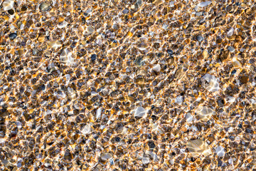 Sand with a lot of shells