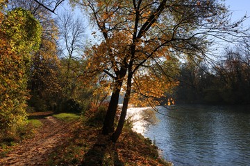 autumn in the park