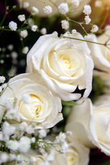 A bouquet of white roses close-up 